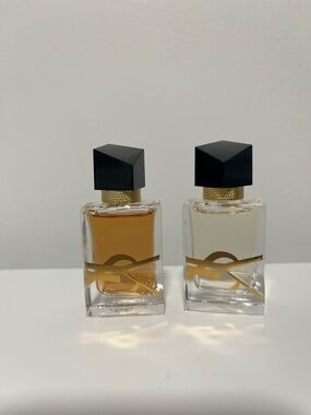 2MINIS YSL